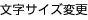 文字サイズ変更